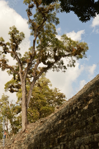 The Mayan ruins in the temple city of Copan in the jungle of Honduras  Central America