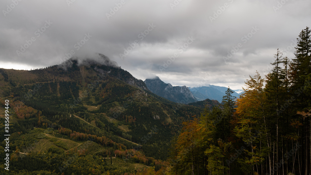 Fototapeta premium autumn colors in the mountains