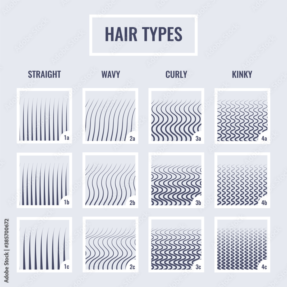 Straight, wavy, curly, kinky hair types classification system set. Detailed  human hair growth style chart. Health care and beauty concept. Vector  illustration. Stock Vector | Adobe Stock