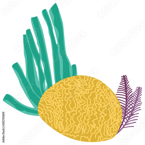 
A flat icon vector of cnidaria coral reef
