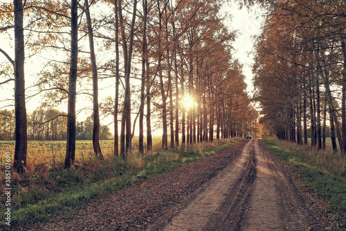 autumn road top view, landscape in autumn with drone