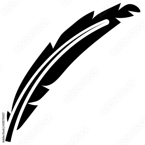 
A bird leaf in black color known as tail feather 
