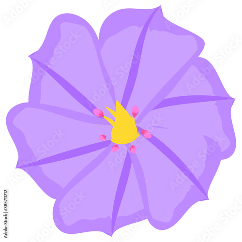 
A beautiful aster flower flat icon design 
