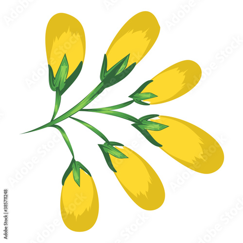 
A beautiful bent lemon lily with stem and leaves
