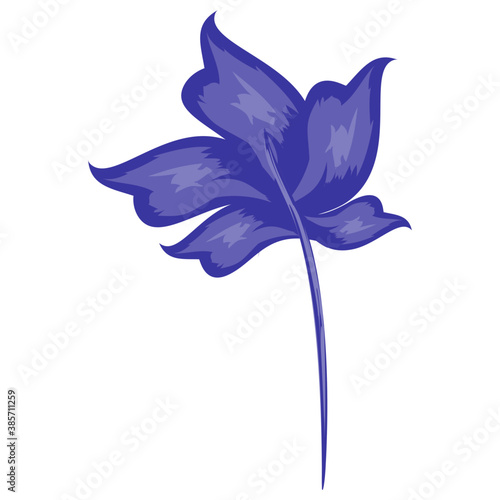 
A beautiful aster flower flat icon design 
