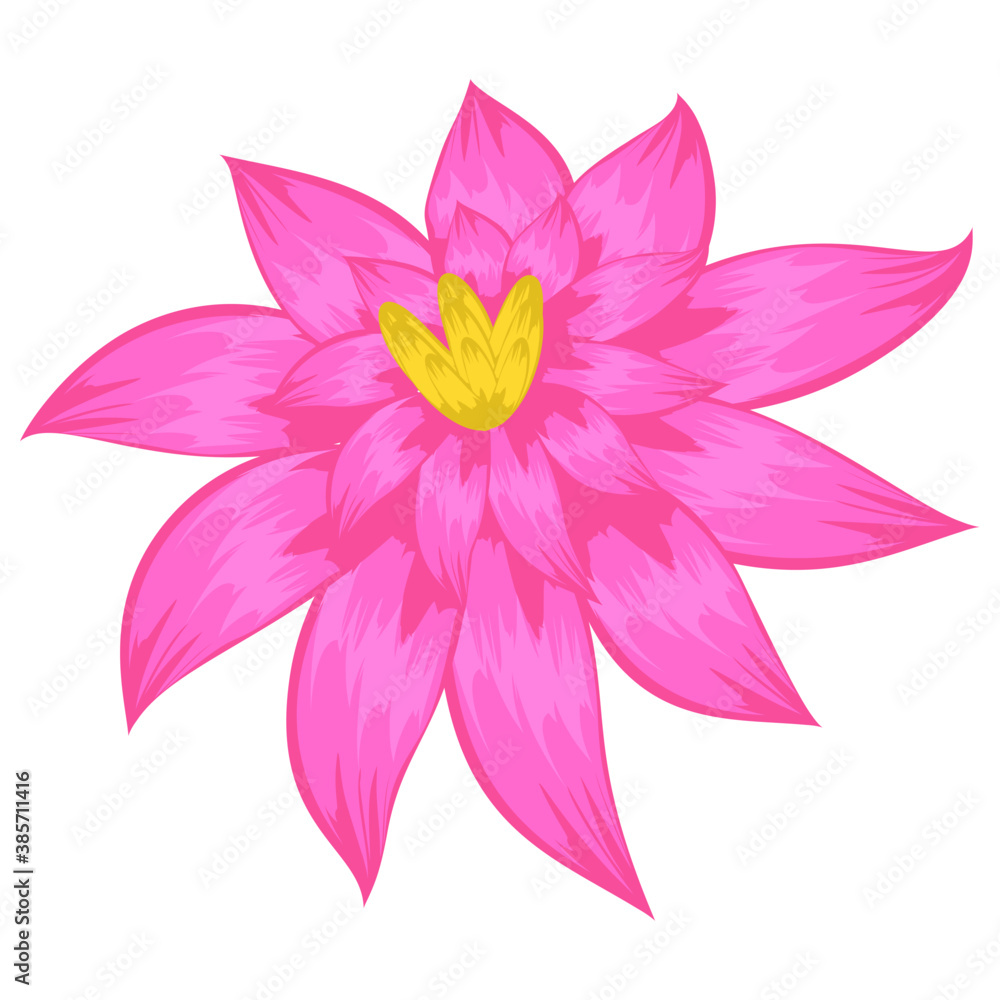 Fototapeta premium A beautiful aster flower flat icon design