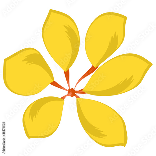 
A beautiful aster flower flat icon design 
