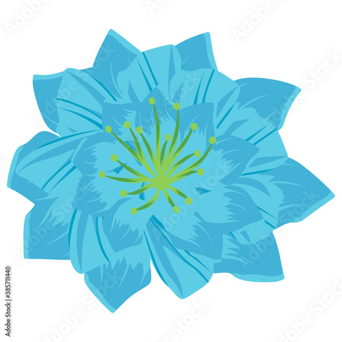 
A beautiful aster flower flat icon design 
