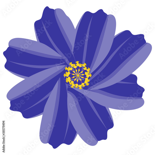 
A beautiful aster flower flat icon design 
