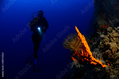 Underwater modeling. Bodrum, Muğla / Turkey. © osman