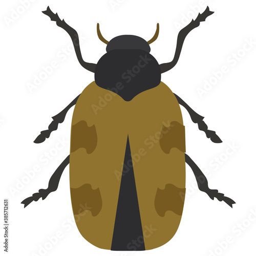 
Stag beetle with two arms containing sting
