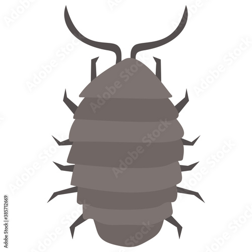 
Stag beetle with two arms containing sting
