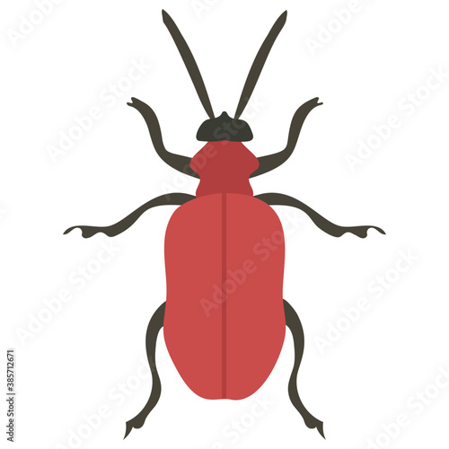 
Stag beetle with two arms containing sting
