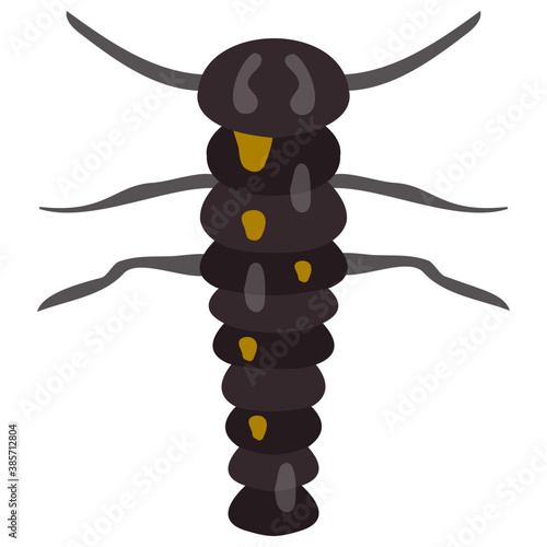 
A insect having legs with depicting beetle 
