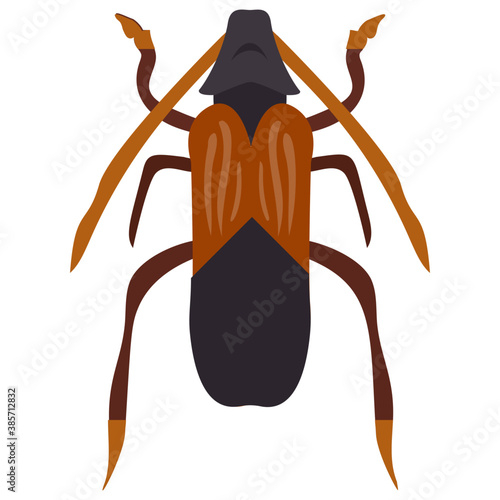
A insect having legs with depicting beetle 
