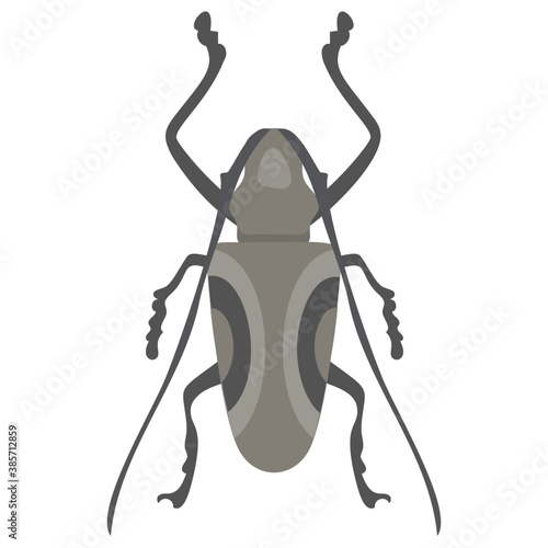 
Stag beetle with two arms containing sting
