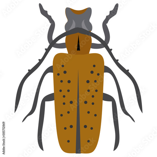 
A insect having legs with depicting beetle 
