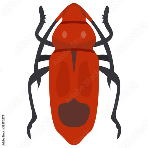 
A insect having legs with depicting beetle 
