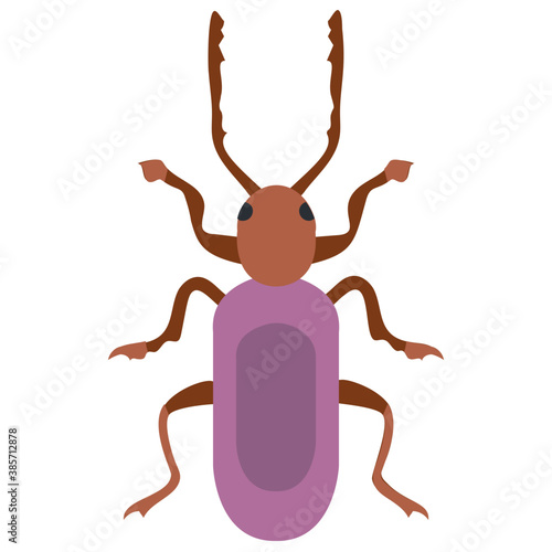 
A insect having legs with depicting beetle 
