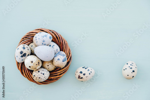 Colorful quail eggs in bird nest on light blue background.