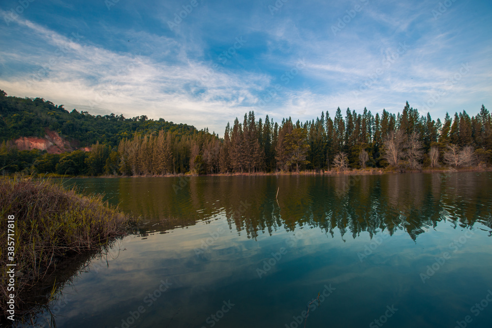 Blurred nature background view of naturally occurring trees and reflection on the water surface, the beauty of ecosystems at various vantage points. Blurred nature background view of naturally occurring trees and reflection on the water surface, the beauty of ecosystems at various vantage points.