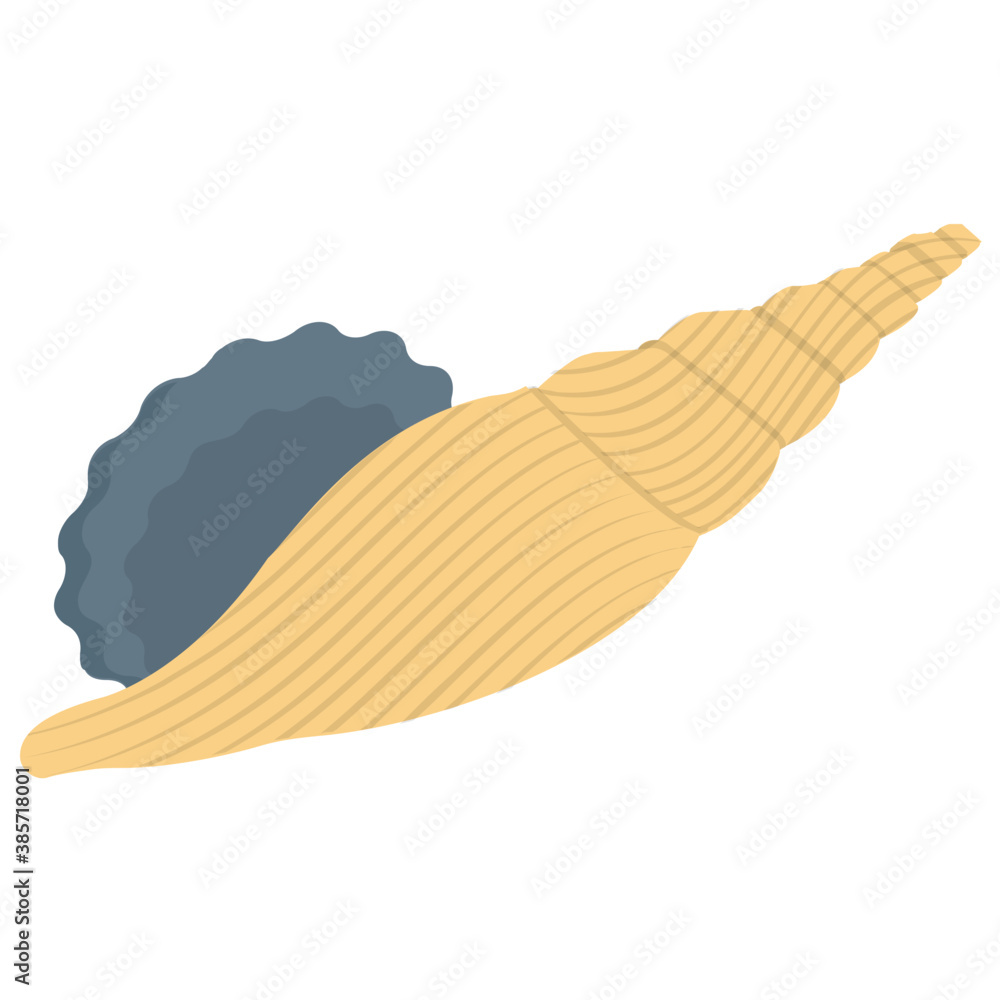 Icon of rounded shell depicting fox shell
Icon of rounded shell depicting fox shell