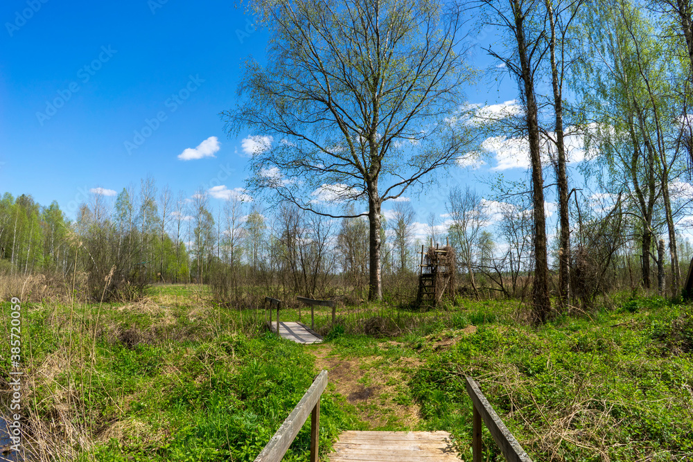 Forest area with streams and glades near Volozhin