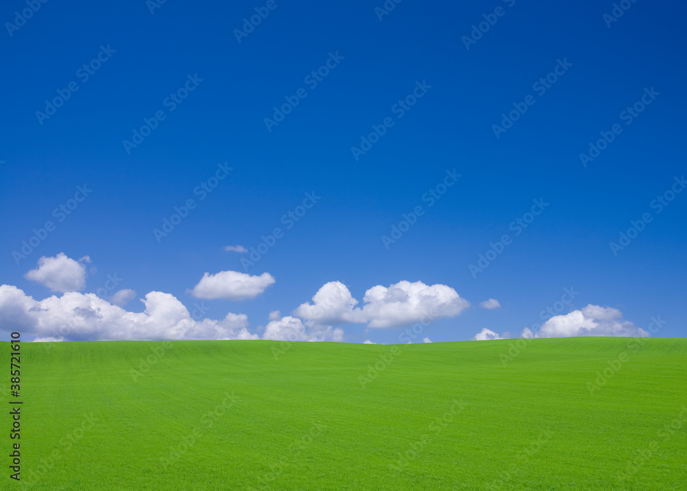 Fototapeta premium 丘と雲