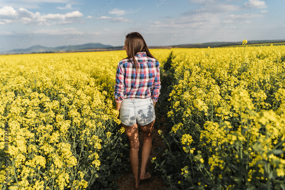 Walking young attractive woman in oilseed rape field. In checkered shirt and denim shorts. Walking young attractive woman in oilseed rape field. In checkered shirt and denim shorts.