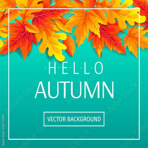 Autumn promo sale banner or background with bright autumn leaves. Vector illustration for banner, poster, invitation, special offer, advertising, flyer, commercial.