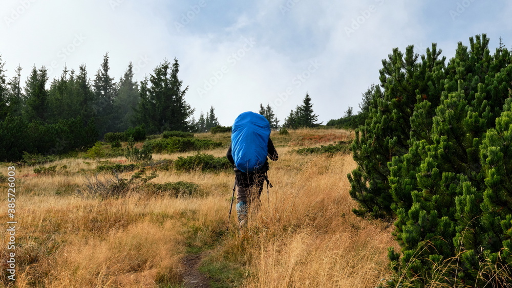 Tourist with large blue backpack walking in a mountain meadow, Low Tatras, Slovakia.