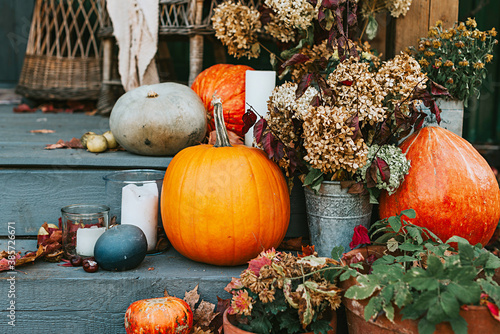 porch of the backyard decorated with pumpkins in autumn