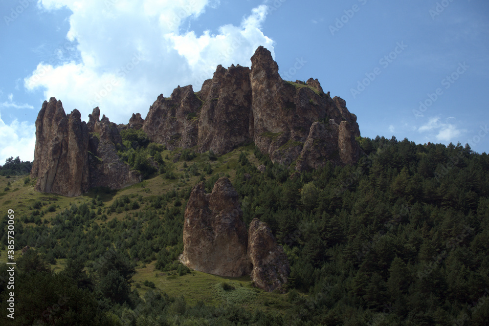 High steep rock. Landscape with a sheer cliff surrounded by forest. Caucasus, Russia.