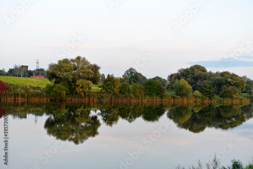 reflection of trees in water