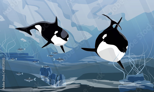 Two killer whales swim in the dark cold waters of the ocean. Orcinus orca. Animals of the Arctic and Antarctic regions. Sublime seascape. Realistic vector