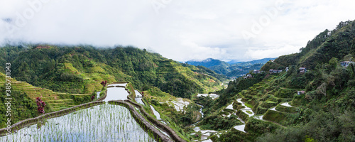 フィリピン　コルディレラのバナウェの棚田群