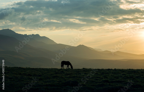 Horse grazing in the mountains at sunset