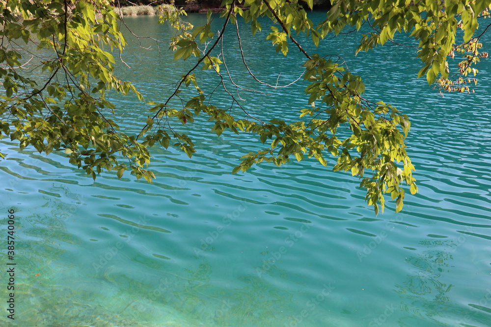 Naklejka premium Scenic view of a tree branch with green yellowish leaves on the background of a lake with blue, azure water on a day , Plitvice Lakes National Park