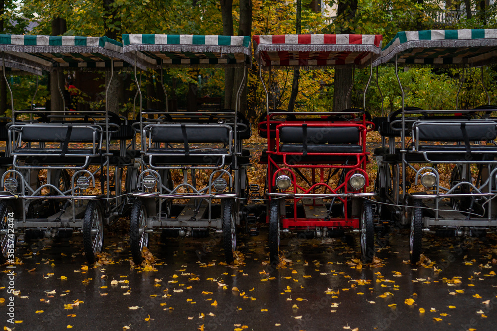 bicycles parked in the park in autumn