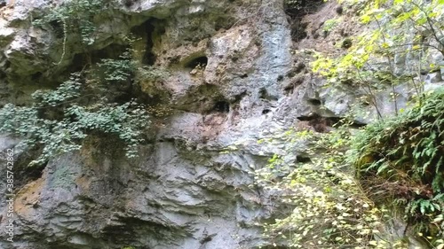 Push in through some vegetation towards a rock formation photo