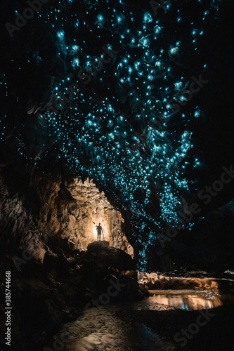 Glow worm cave in New Zealand
Cueva con gusanos brillanes en Nueva Zelanda