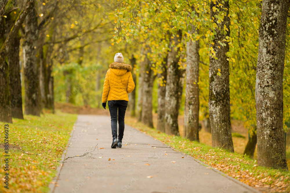 Obraz premium One young adult woman in yellow jacket slowly walking through alley of trees in autumn day at park. Spending time alone in nature. Peaceful atmosphere. Back view.