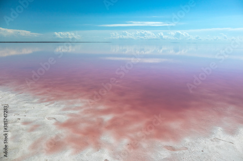 Pink salt lake coast with white salt, pink water surface and mirror reflection of vivid blue sky. Syvash or Sivash, the Putrid Sea or Rotten Sea, Ukraine