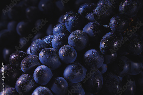 Dark grapes close-up with water drops. Horizontal macro. photo
