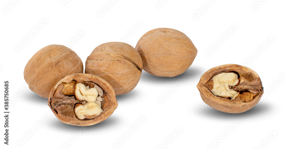 Walnuts an isolated in white background Walnuts an isolated in white background