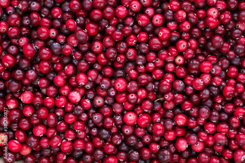 Ripe fresh cranberries as natural, food, berries background	