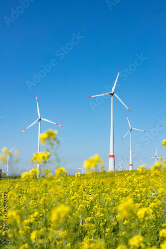 Windkraftanlage vor einem Rapsfeld © Christian Schwier