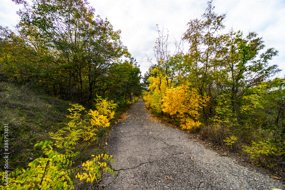 Naklejka premium Autumnal landscape with yellow leaves