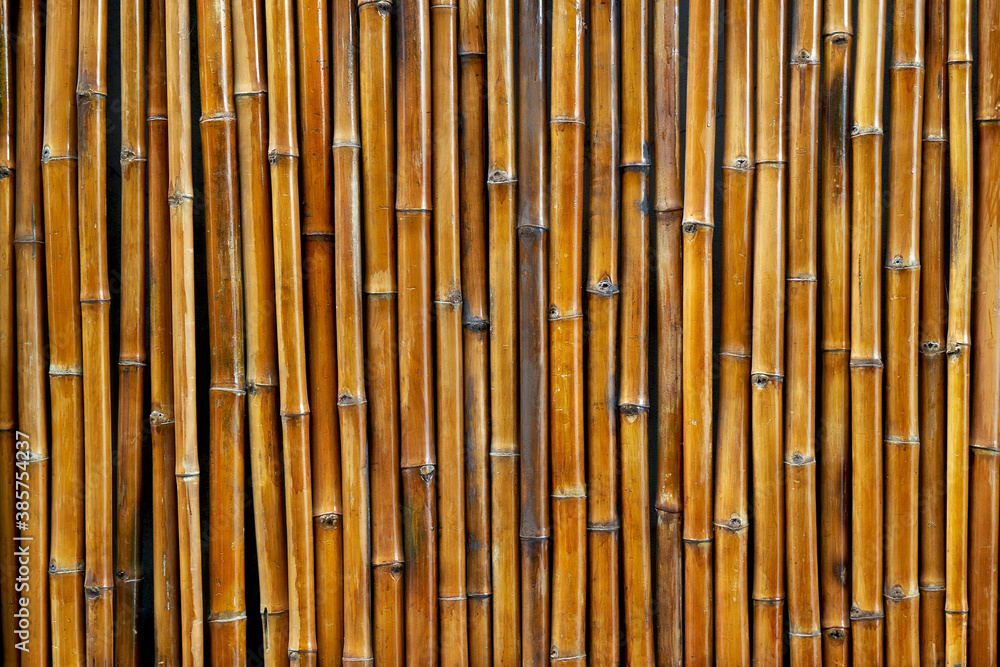 Bamboo wall background Bamboo wall background