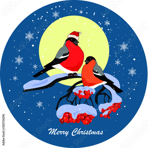 christmas card with bullfinches.